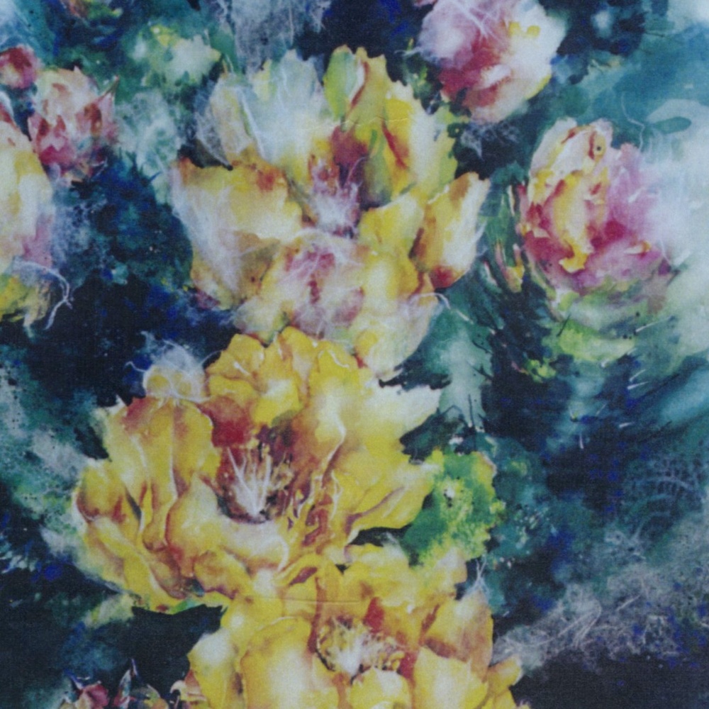 Cactus Flower Print In Lightweight Presentation Mat - Prickly Pear